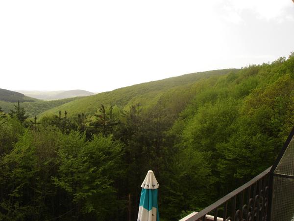 Hizha Sokolite