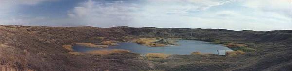 wikimapia