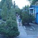 База відпочинку 