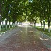 Центральный стадион в городе Умань