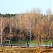 Городской стадион в городе Кингисепп