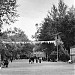 City Park in Rustavi city