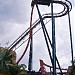 SheiKra in Tampa, Florida city