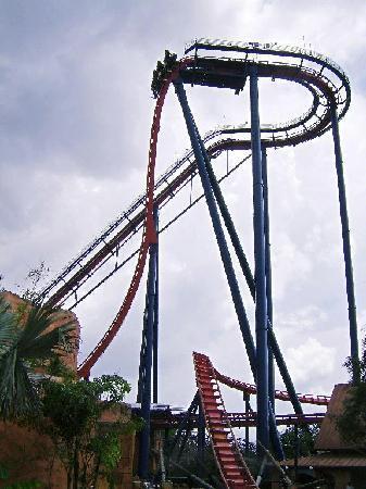 Sheikra Tampa Florida