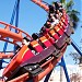Scorpion in Tampa, Florida city