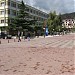 Bashkia in Pogradec city