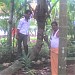 balan peedika bus stop