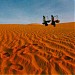Đồi Cát Vàng Mũi Né trong Thành phố Phan Thiết thành phố