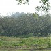 Baag in Tehang city