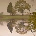 Lake in Rustavi city