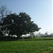 BOHARH in Tehang city