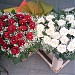 Flower shop 