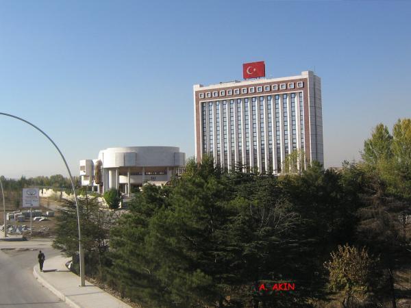 wikimapia