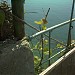 Дачные участки на круче в городе Геленджик