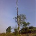 maradi gudda  in ಕೊಳ್ಳೇಗಾಲ city