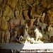 animals cave in Florence city