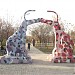 Аллея в городе Запорожье