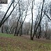 Парк на левом берегу реки Яузы со смотровыми площадками в городе Москва