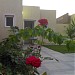 House No 13  and House No 14 in Tripoli city