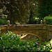 Torrigiani Garden in Florence city