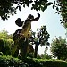 Torrigiani Garden in Florence city