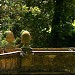 Torrigiani Garden in Florence city