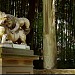 Torrigiani Garden in Florence city