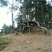 Пруд в городе Всеволожск