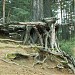 Пруд в городе Всеволожск