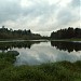 Пруд в городе Всеволожск