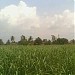 Yogesh