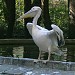 Gradina Zoologica în Bârlad oraş