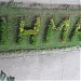 Immaculate Heart of Mary Academy in Mati city
