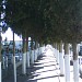 Cementerio en la ciudad de Huétor-Tájar