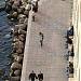 quai (fr) in Marseille city