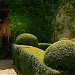 Garden I of Villa Caponi in Florence city