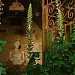 Garden I of Villa Caponi in Florence city