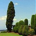Villa Capponi in Florence city