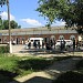 Автостанция в городе Днестровск