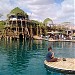 Dolphin Reef in Eilat city
