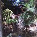 Dolphin Reef in Eilat city