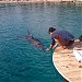 Пляж КАЦАА (ru) in Eilat city