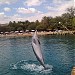 Пляж КАЦАА (ru) in Eilat city