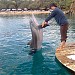 Пляж КАЦАА (ru) in Eilat city