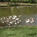 Parque Wenceslau Braz na Lambari city