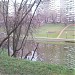 Пруд в пойме реки Ивницы в городе Москва
