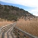 Yunodaira Hot Spring Marsh in Nikko city