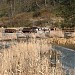 Yunodaira Hot Spring Marsh in Nikko city