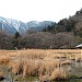 Yunodaira Hot Spring Marsh in Nikko city