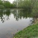Болотно-лесной пруд в городе Долгопрудный